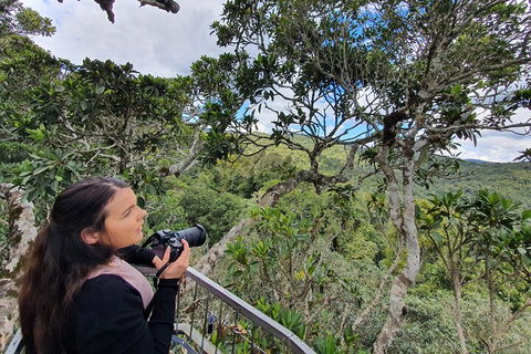 Lamington National Park, O'Reilly's & Vineyard Tour - Tourism Brisbane 1