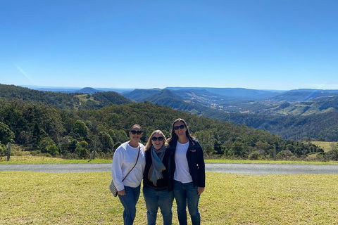 Lamington National Park, O'Reilly's & Vineyard Tour - Tourism Brisbane 3