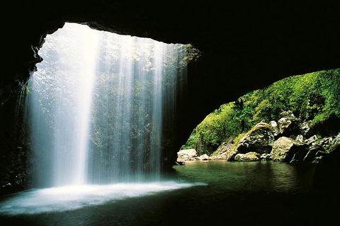Natural Bridge & Springbrook Waterfalls Tour - Tourism Brisbane 0
