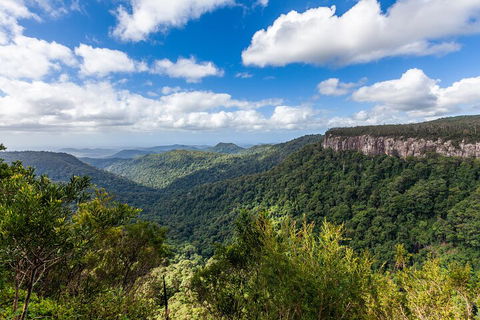 Natural Bridge & Springbrook Waterfalls Tour - Tourism Brisbane 1