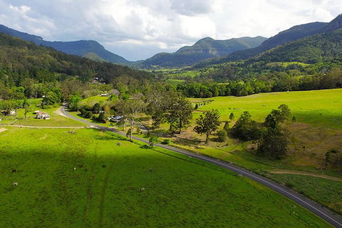 Natural Bridge & Springbrook Waterfalls Tour - Tourism Brisbane 2