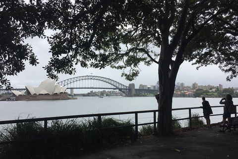 Private Tour: Half-Day Iconic Sydney - Tourism Brisbane 4