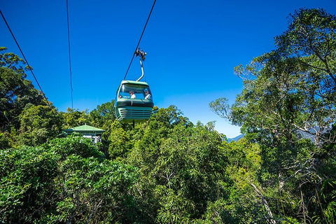 Skyrail Rainforest Cableway Day Trip From Cairns - Tourism Brisbane 1