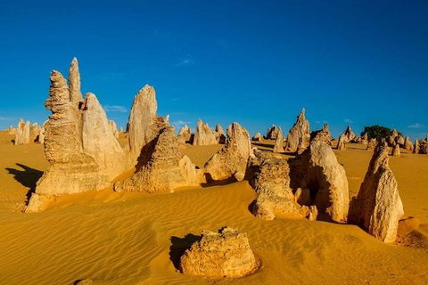 Pinnacle Desert Sunset And Stargazing With Dinner - Brisbane Tourism 3