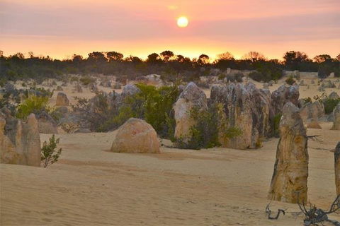 Pinnacle Desert Sunset And Stargazing With Dinner - Brisbane Tourism 5