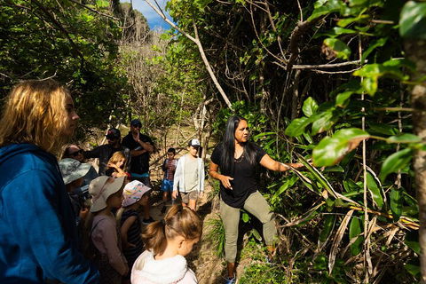 Cape Byron Aboriginal Tour - Tourism Brisbane 4