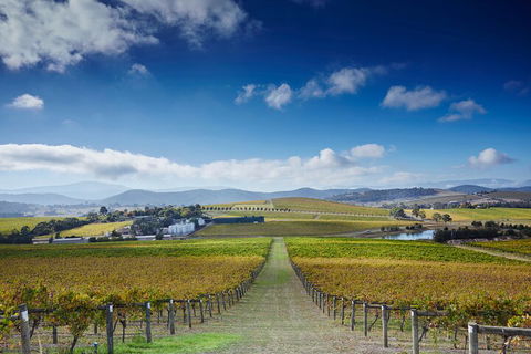 Yarra Valley Wine And Wildlife Self-Driving Tour - Tourism Brisbane 1