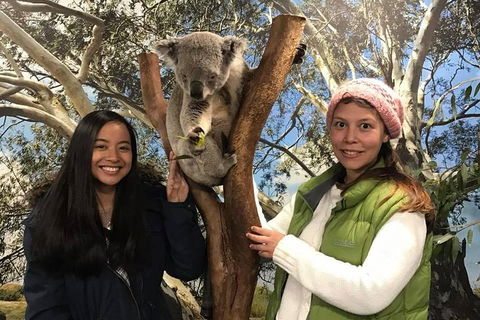 Australia Multi-City Attractions Pass - Tourism Brisbane 3