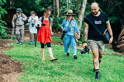 Let's Go Buggin & Let's Go Shroomin - Photography & Nature Walking Tours - Tourism Brisbane 0