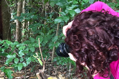 Let's Go Buggin & Let's Go Shroomin - Photography & Nature Walking Tours - Tourism Brisbane 1