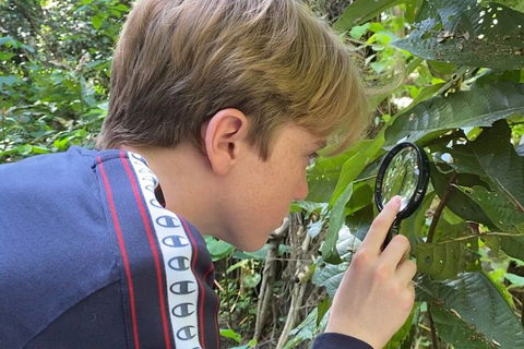 Let's Go Buggin & Let's Go Shroomin - Photography & Nature Walking Tours - Tourism Brisbane 3