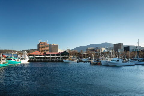 Hobart City Sightseeing Tour Including MONA Admission - Tourism Brisbane 0