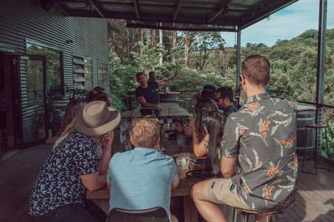 Private Custom Byron Bay Day Out - Tourism Brisbane 5