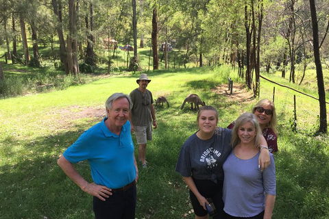 Small Group Blue Mountains Day Tour From Sydney - Tourism Brisbane 1