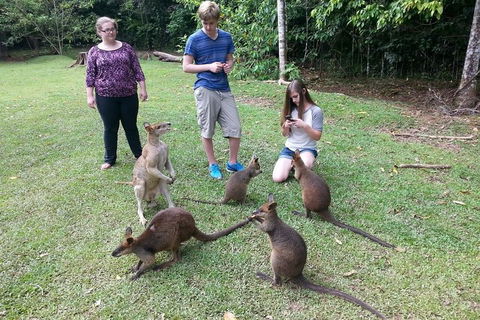 Small Group Blue Mountains Day Tour From Sydney - Tourism Brisbane 2
