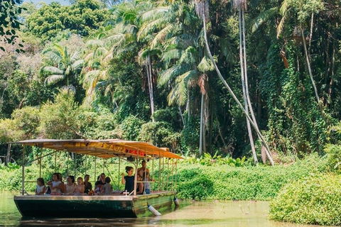 Tropical Fruit World Farm Full Tour - Tourism Brisbane 0