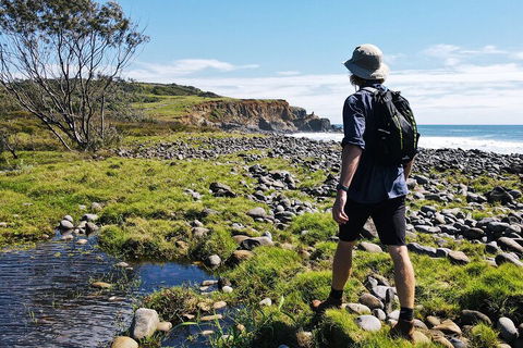Half Day Guided Small Group Walk - Brisbane 4u 0
