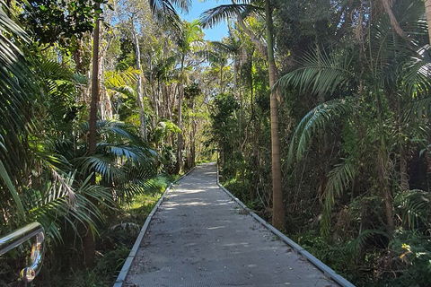 Half Day Guided Small Group Walk - Brisbane 4u 3