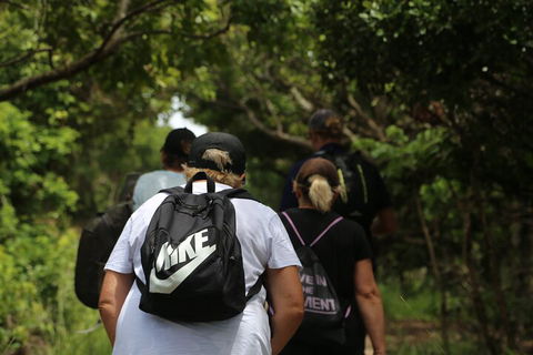 Half Day Guided Small Group Walk - Brisbane 4u 4