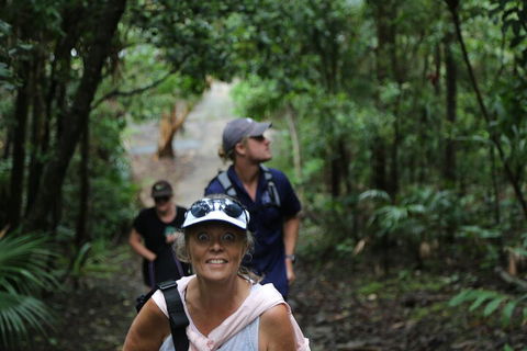 Half Day Guided Small Group Walk - Brisbane 4u 5