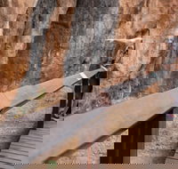 Chillagoe Caves and Outback Day Trip from Cairns - Tourism Brisbane