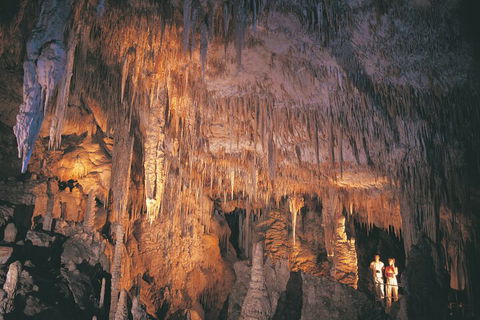 4 Day Tour: Albany, Margaret River, Valley Of The Giants TreeTop Walk From Perth - Tourism Brisbane 1