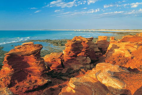 Afternoon Broome Town Tour Including Cable Beach And Matso Beer Tasting - Tourism Brisbane 1