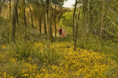 2-Day Wave Rock, York, Wildflowers & Aboriginal Experience - Tourism Brisbane 2