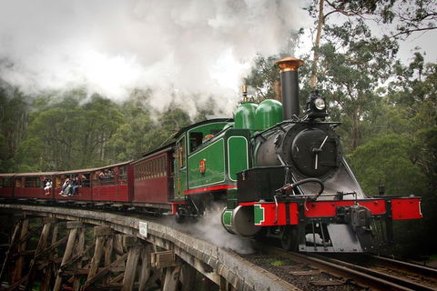 Puffing Billy, Wildlife Sanctuary & Penguins Day Tour From Melbourne - Tourism Brisbane 5
