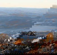 Mt. Wellington Bonorong and Richmond Day Tour from Hobart - Tourism Brisbane