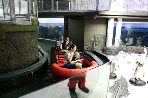 Sydney Attractions Pass: SEA LIFE Aquarium, Sydney Tower Eye, WILD LIFE Zoo And Madame Tussauds - Tourism Brisbane 0