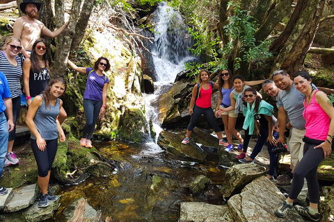 7-Day Super Value Tour Of Tasmania: Explore Tasmania's West And East Coasts - Tourism Brisbane 2