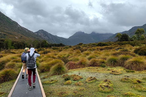 3 Day Tasmanian Wild West Coast Tour From Hobart To Launceston - Tourism Brisbane 3
