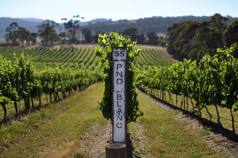 The Ultimate Yarra Valley Food And Wine Small Group Tour (Max 6 Guests) - Tourism Brisbane 2