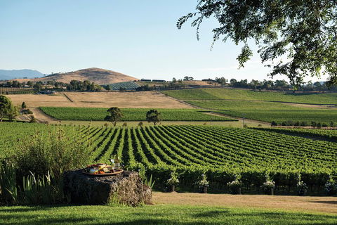 Small Group 6 Guests: Ultimate Yarra Valley Food And Wine - Mercedes Van - Tourism Brisbane 4