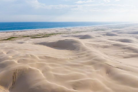 Port Stephens Bush, Beach And Sand Dune 4WD Passenger Tour - Tourism Brisbane 2