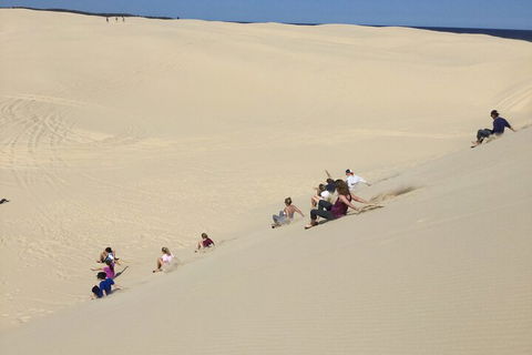 Port Stephens Bush, Beach And Sand Dune 4WD Passenger Tour - Tourism Brisbane 4