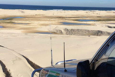 Port Stephens Bush, Beach And Sand Dune 4WD Passenger Tour - Tourism Brisbane 5