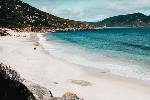 Small Group - Wilsons Promontory Hiking Day Tour From Melbourne - Tourism Brisbane 2