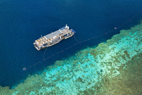 Great Barrier Reef Day Cruise To Reefworld - Tourism Brisbane 2