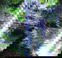 Mt Field National Park and Russell Falls from Hobart - Tourism Brisbane