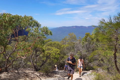 Blue Mountains Unique Small-Group Day Adventure With BBQ Lunch - Tourism Brisbane 3