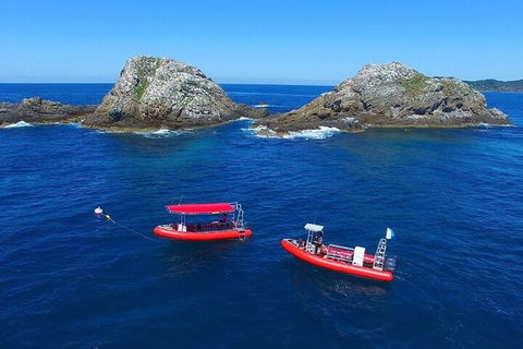 3-Hour Byron Bay Certified Scuba Diving Tour - Tourism Brisbane 0