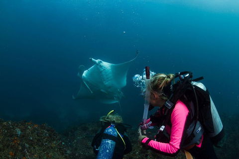 3-Hour Byron Bay Certified Scuba Diving Tour - Tourism Brisbane 2