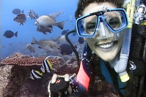 3-Hour Byron Bay Certified Scuba Diving Tour - Tourism Brisbane 5