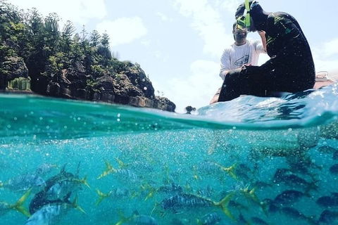 2 Night Small Group Whitsundays Sailing Adventure Aboard Mandrake - Tourism Brisbane 5