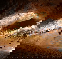 Windjana Explorer - Brisbane Tourism