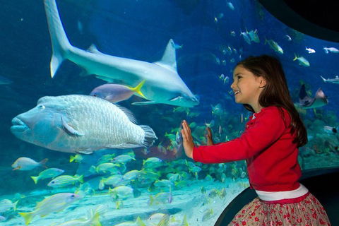 SEA LIFE Melbourne Aquarium Admission Ticket - Tourism Brisbane 1