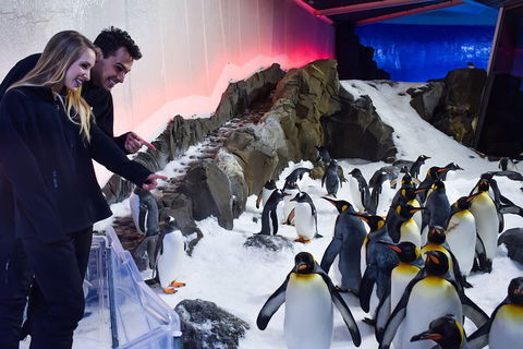 Penguin Passport At SEA LIFE Melbourne Aquarium - Tourism Brisbane 0