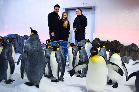 Penguin Passport At SEA LIFE Melbourne Aquarium - Tourism Brisbane 4